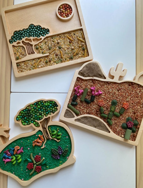 Desert / Rainforest / Savannah