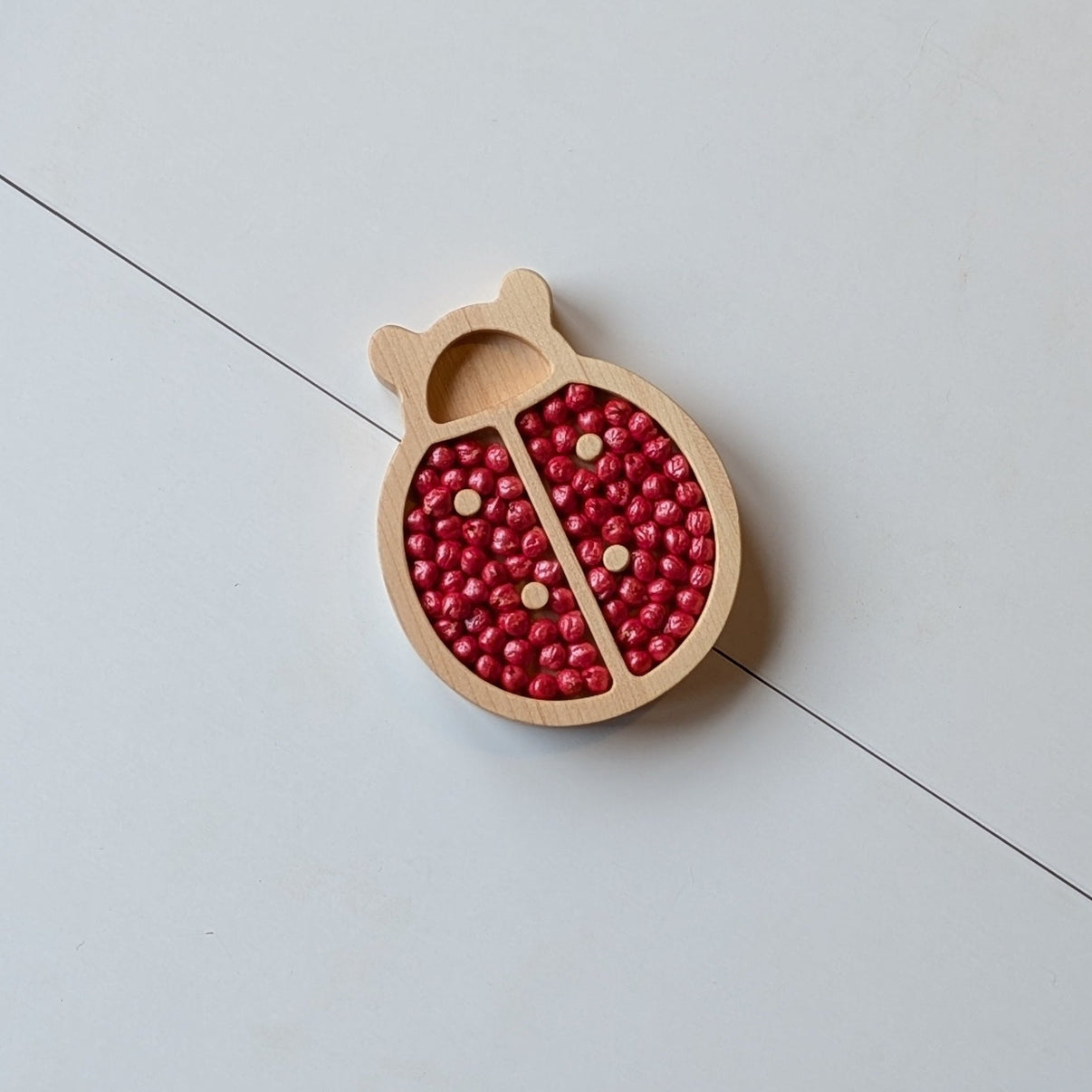 Mini Lady Bug Sensory Play Tray - Carved Together Co - 