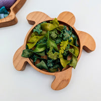 Mini Turtle Sensory Play Tray - Carved Together Co - 